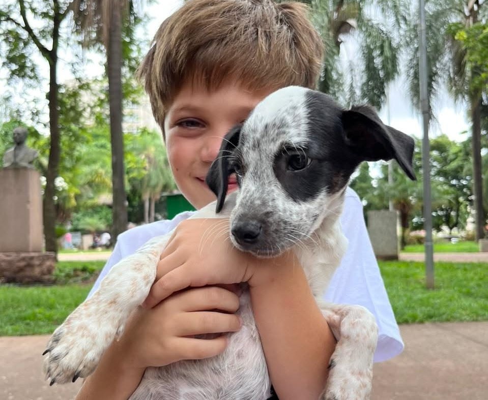 Prefeitura celebra “Dia do Vira-Lata” com 1.237 animais adotados por meio do Abrigo e UVZ