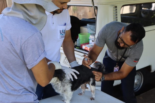 UVZ realiza plantão com vacinação antirrábica para cães e gatos
