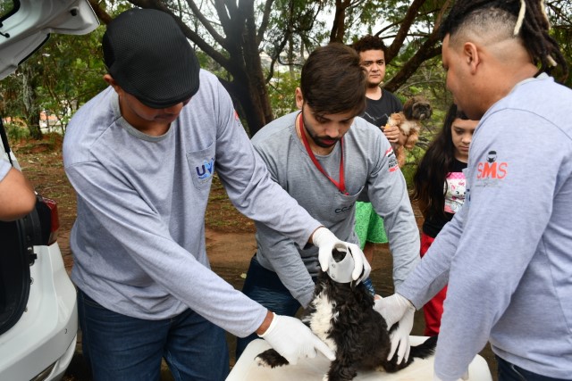UVZ faz plantão de coleta e microchipagem no São Lucas; próximo plantão no Jardim Iguaçu
