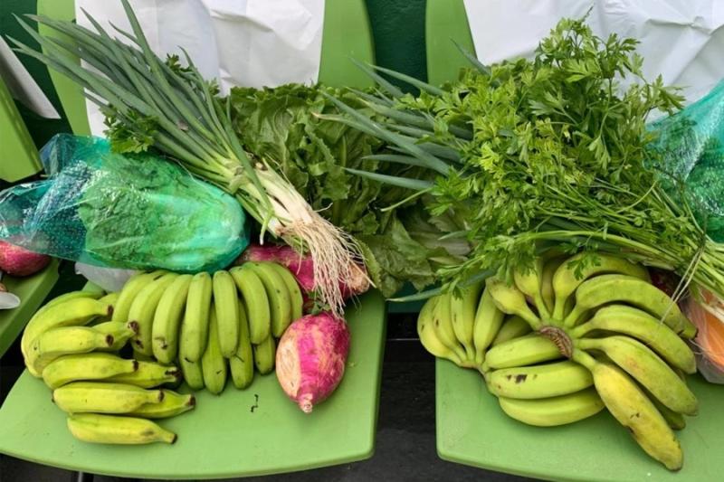 SP abre chamamento público do Programa de Aquisição de Alimentos para agricultores familiares