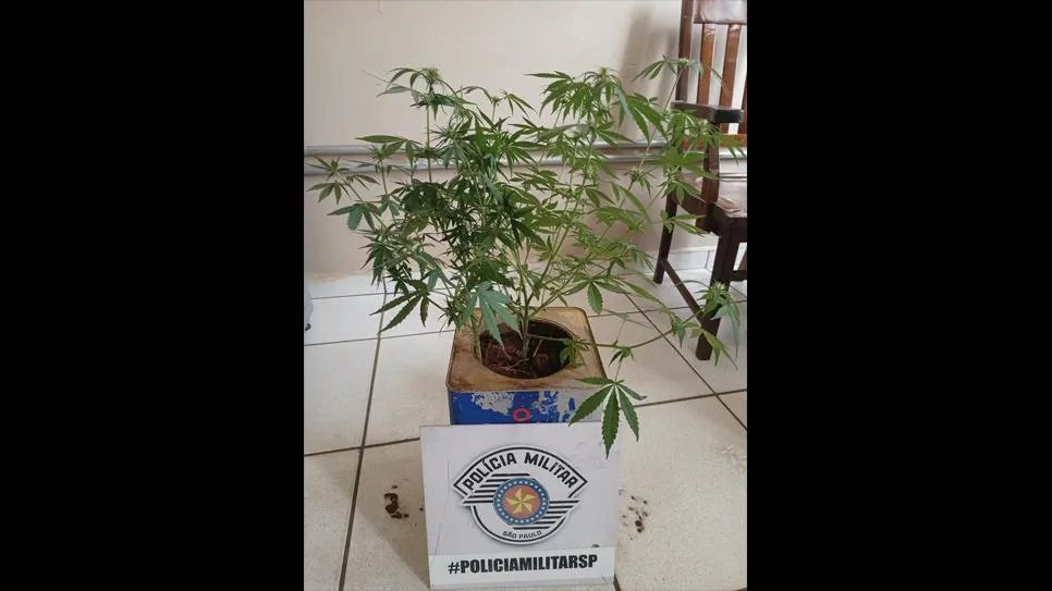 Três homens são presos por tráfico de drogas em duas ocorrências em Rancharia
