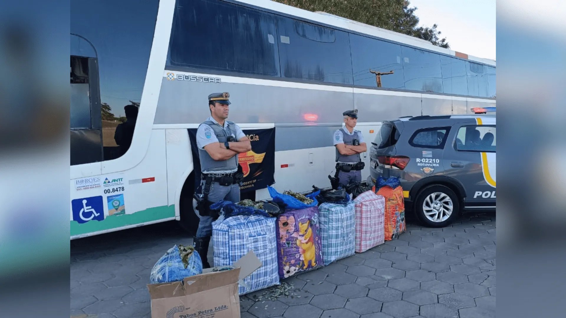 Boliviana é detida com mais de 133 kg de folhas de coca em ônibus na Raposo Tavares