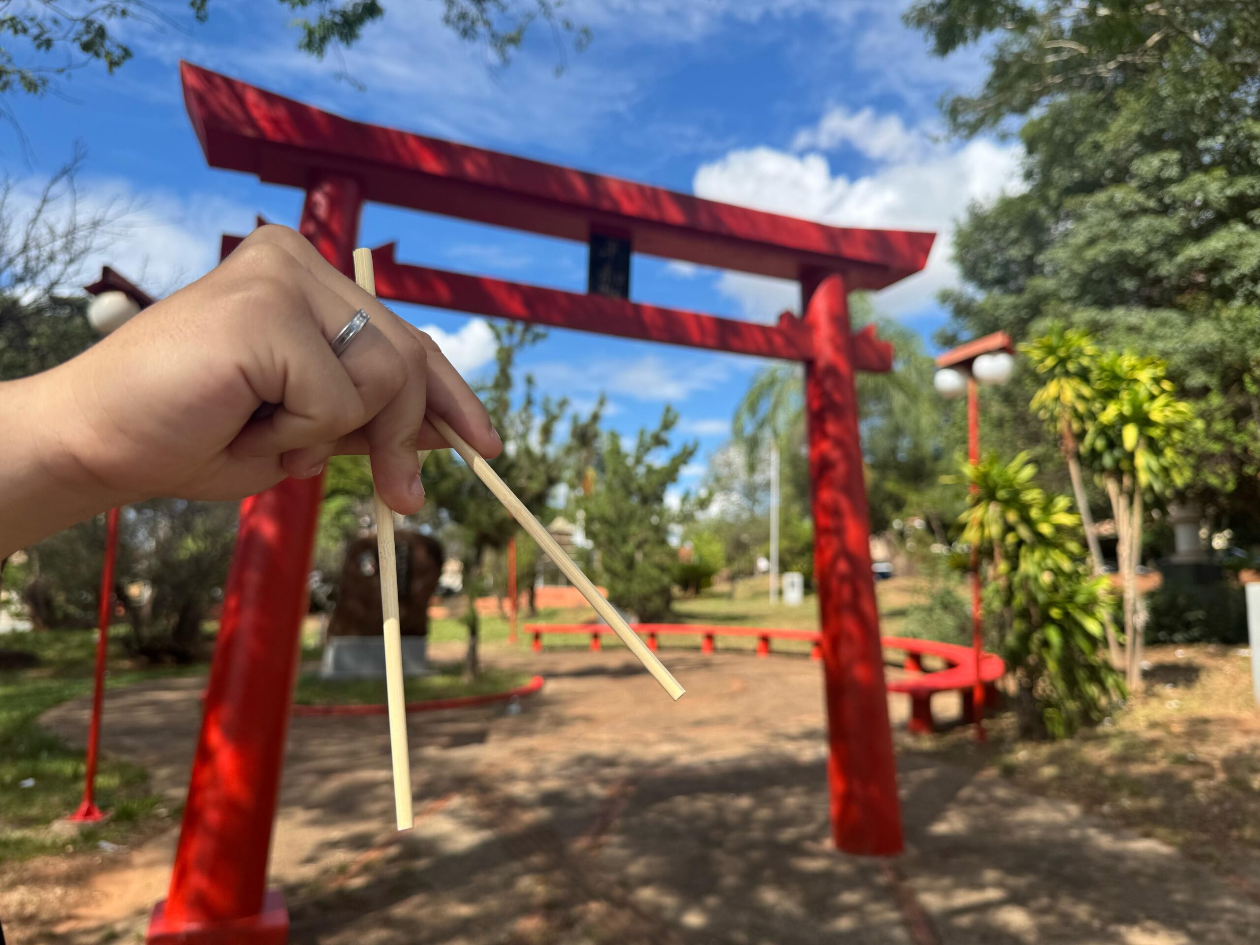 Praça das Cerejeiras recebe 2ª Feira de Artesanato e Culinária Japonesa
