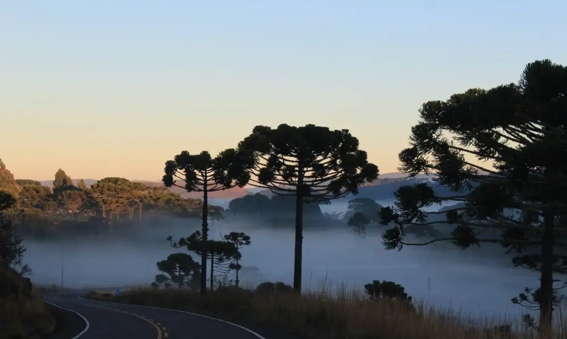 Frio extremo de -6°C e geada atingem Sul na segunda, com avanço para Sudeste e Centro-Oeste