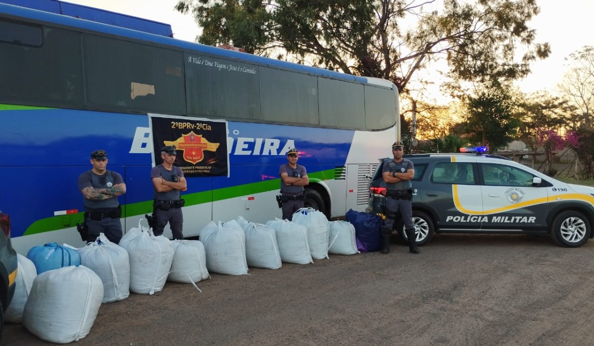 Polícia apreende 318,7 kg de folhas de coca em ônibus na SP-270 em Regente Feijó