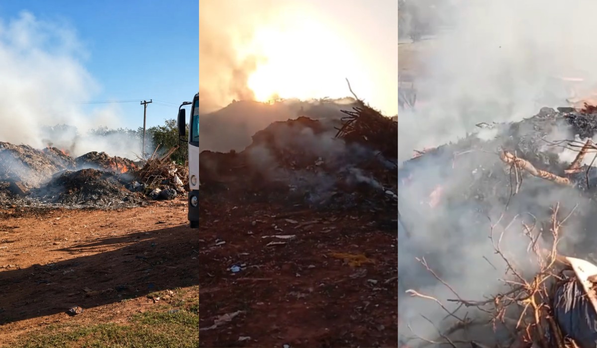 Queimadas atingem área de preservação e depósito de galhos no interior de SP