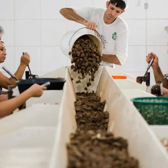 Mdic encerra quarta-feira (2) consulta pública sobre bens sustentáveis no acordo Mercosul-UE