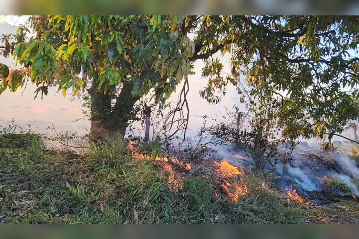Incêndio atinge 15 mil m² de vegetação em Regente Feijó e mobiliza equipes