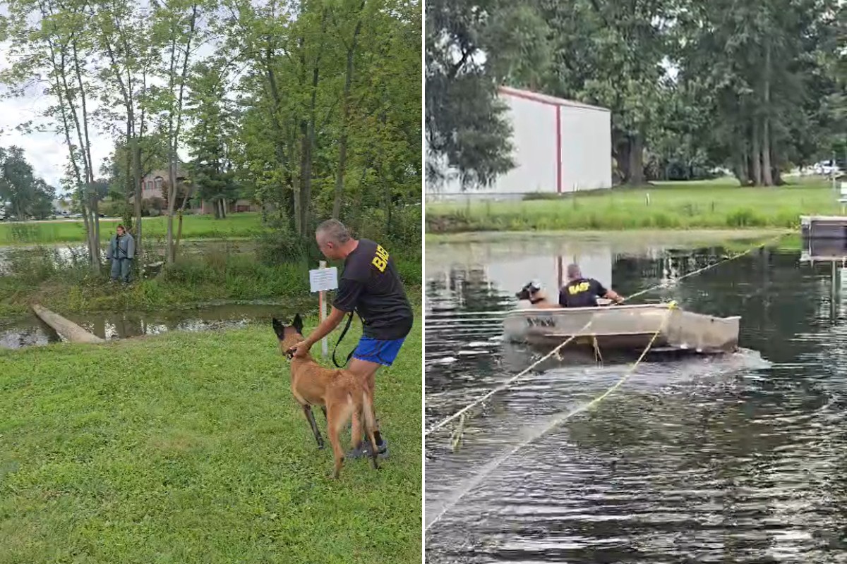K9 Kira e cabo do Baep de SP vencem prova mais complexa do K9 Olympics nos EUA