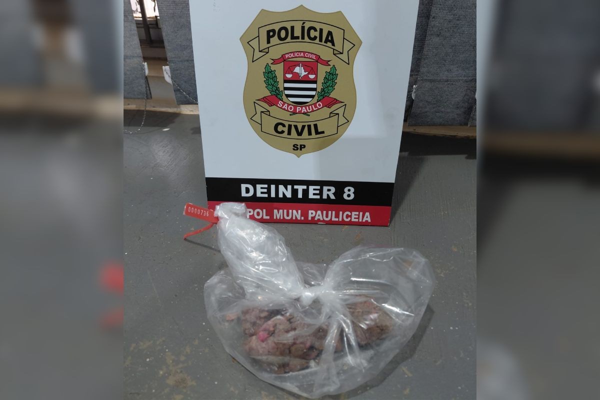 Polícia identifica suspeita de envenenar cão e gato em Paulicéia (SP)