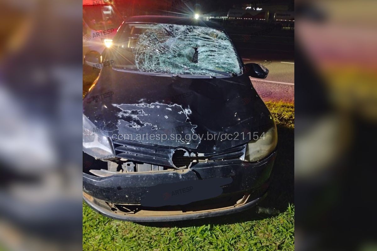 Pedestre morre atropelado na Rodovia Raposo Tavares, em Regente Feijó