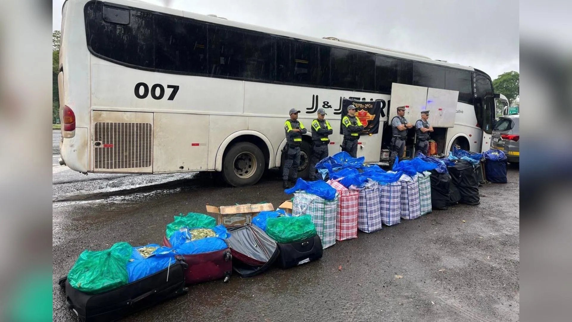Fiscalização apreende 746,8 kg de folha de coca em ônibus na Rodovia Raposo Tavares