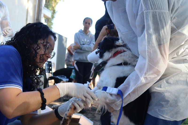 CCZ realiza campanha de saúde animal na Vila Palmira, em Presidente Epitácio