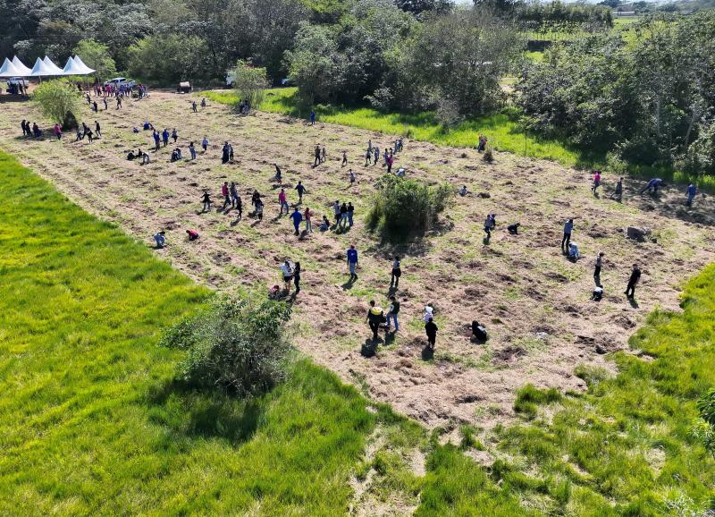 Plantio de 400 mudas na Reserva Lagoa São Paulo mobiliza 113 crianças em Presidente Epitácio