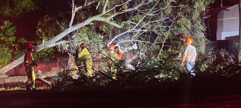 Vendaval atinge Teodoro Sampaio, destelha 29 moradias e derruba cerca de 30 árvores