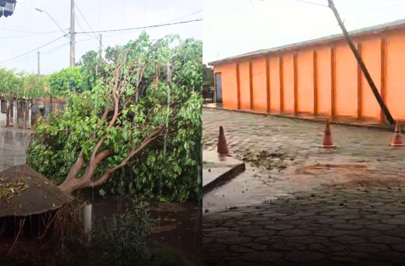 Temporal derruba árvores e postes e agrava erosão em Euclides da Cunha Paulista