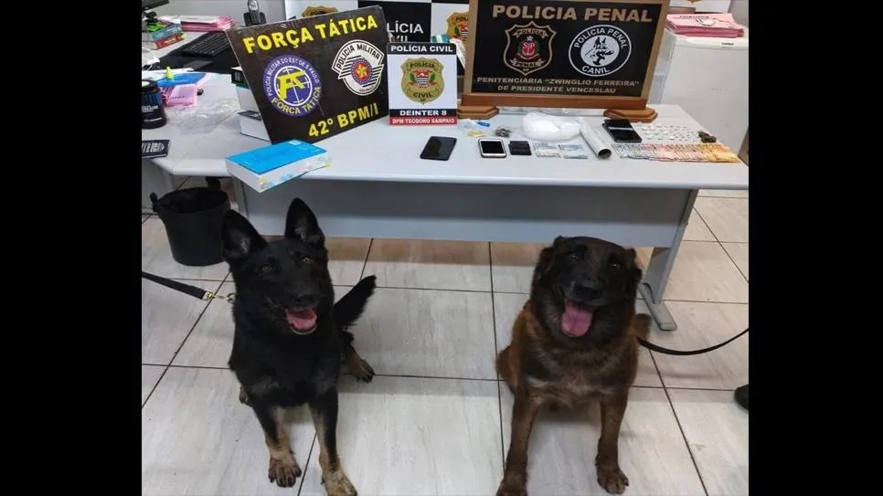 Operação das polícias Civil e Militar prende três pessoas e apreende drogas em Teodoro Sampaio