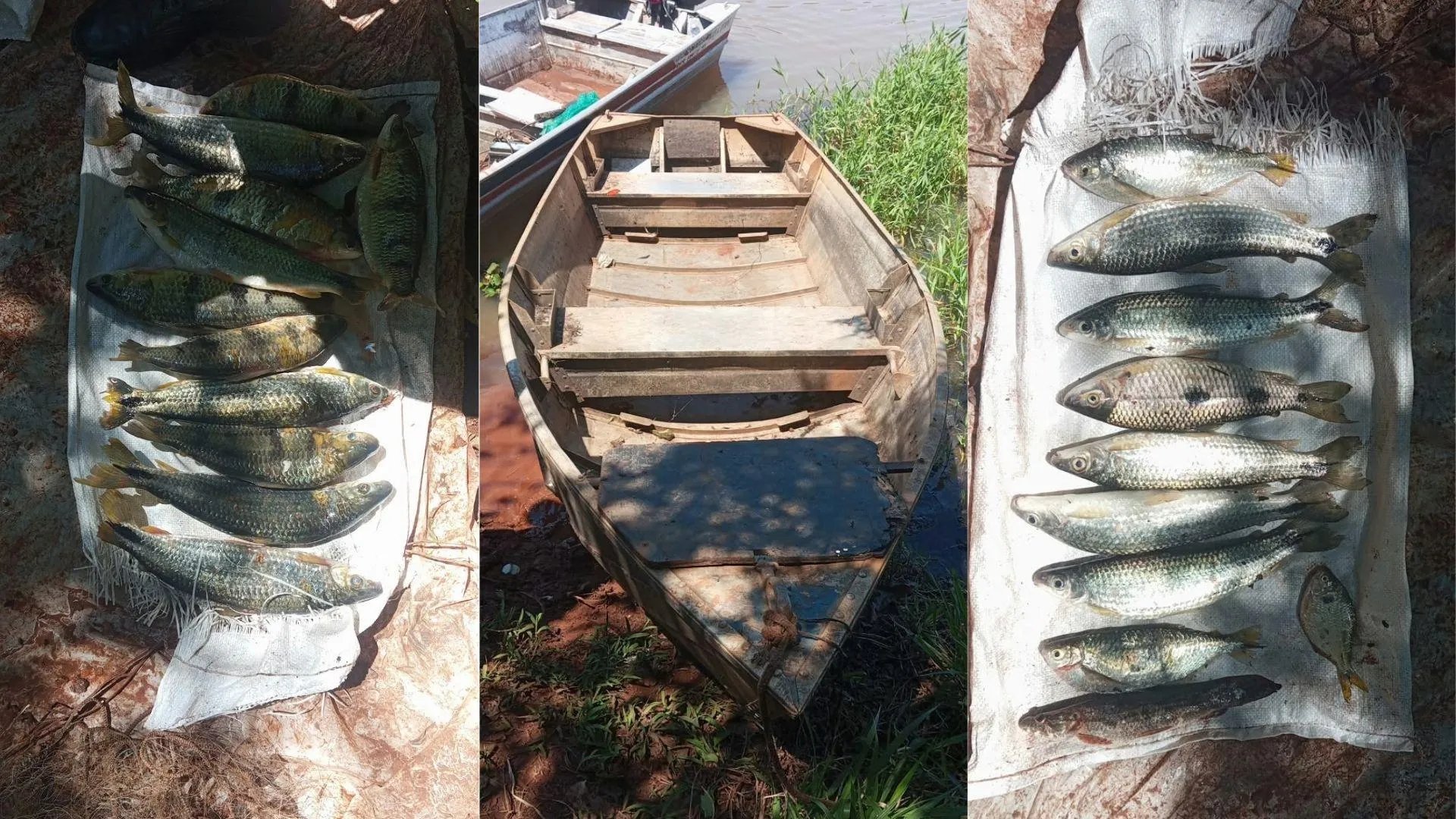 Homem é multado em R$ 1.182 por pesca irregular com redes e tarrafa em Sandovalina (SP)