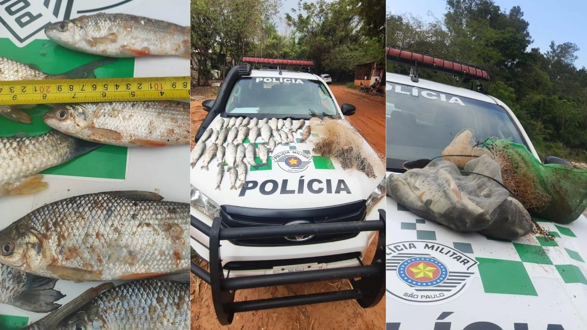 Mulher é multada em R$ 1,2 mil por pescar com tarrafa em ponte sobre o Rio do Peixe, em Rancharia