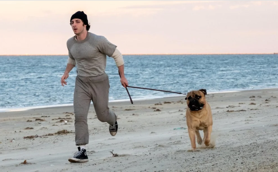 Eu Sou o Rocky estreia no Festival de Toronto e conquista o público com a história por trás do clássico de Stallone