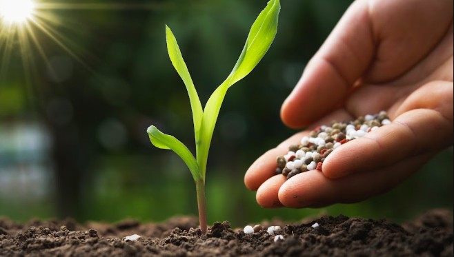 Bioinsumos movimentam mais de R$ 6 bilhões e ganham espaço no manejo agrícola
