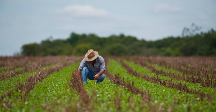 Chuvas intensas e granizo reduzem oferta e encarecem hortaliças nas Ceasas