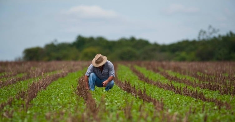 FPA cobra ajustes na MP que renegocia dívidas de produtores rurais