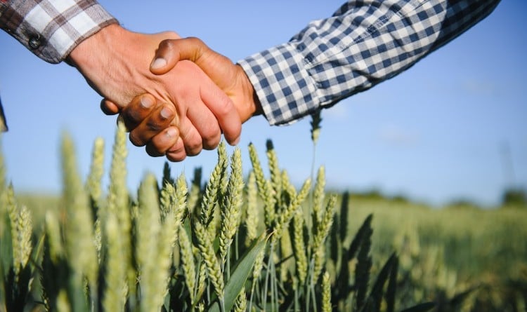 A Força do Agro dedica edição aos mistérios do mundo dos sonhos