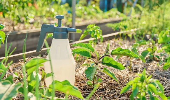 Biofungicida 100% brasileiro para soja usa metabólitos bacterianos no controle de doenças