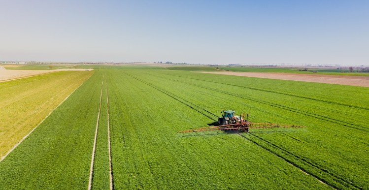 Reforma Tributária no agro: Faesp detalha transição e limite de R$ 3,6 milhões
