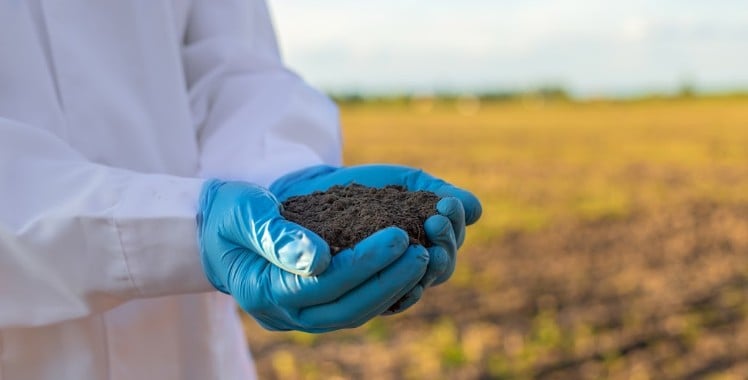 Reposição de nutrientes no solo a cada safra é tema de A Força do Agro