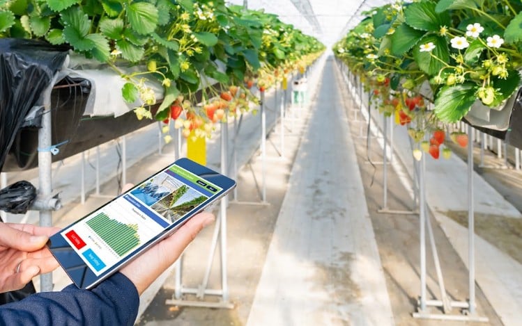 Centro de Excelência em Tecnologia Rural em São Roque (SP) leva inovação a pequenos e médios produtores