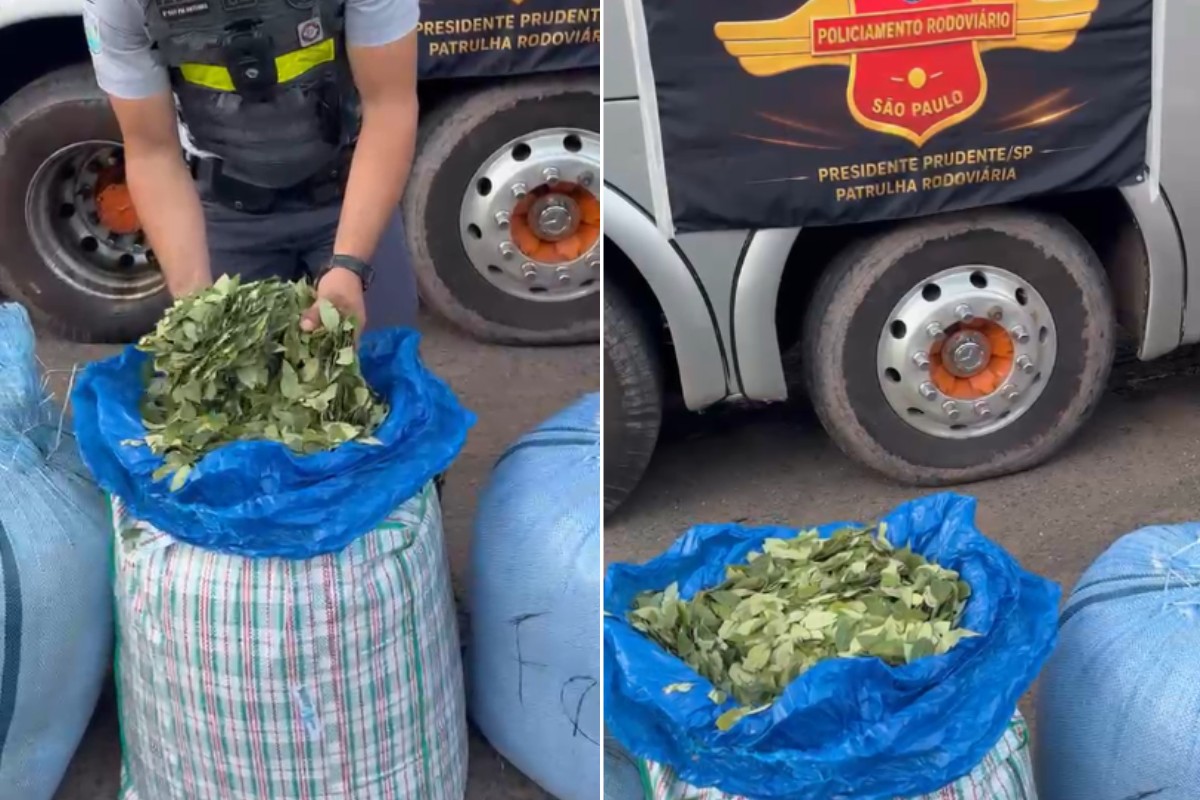 Boliviana é detida com 136,7 kg de folhas de coca em ônibus na Raposo Tavares, em Presidente Prudente