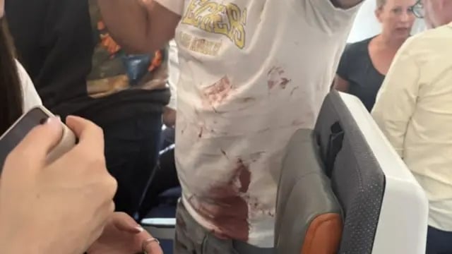 Copiloto esfaqueia comandante e tenta derrubar avião em voo para Israel, dizem autoridades