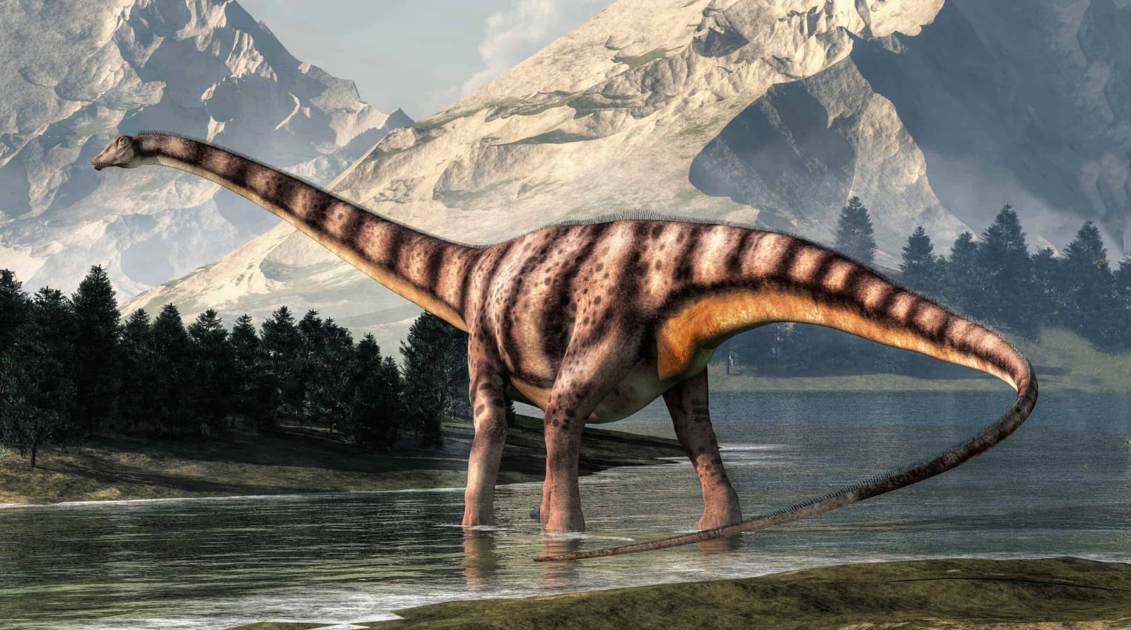 Fósseis de diplodocus encontrados na Espanha são os primeiros fora da América do Norte