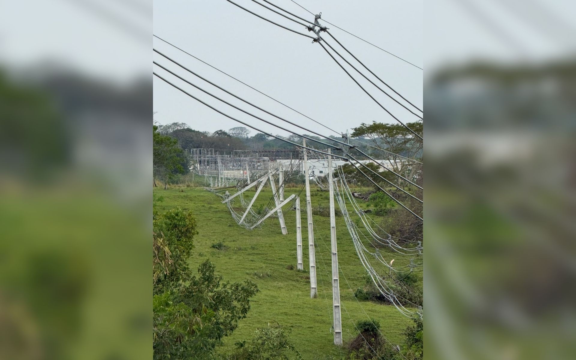 Ventania derruba árvores e postes e afeta fornecimento de energia em Presidente Prudente