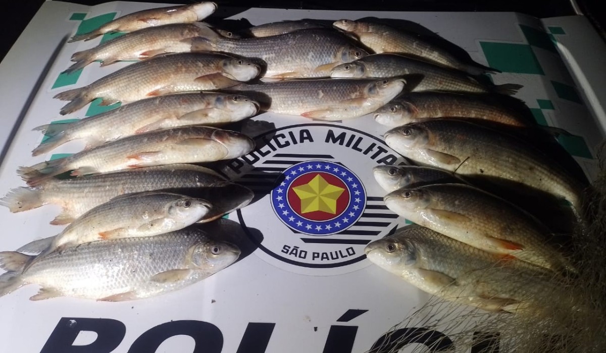 Dupla foge de fiscalização e abandona 19,4 kg de peixes em Lucélia (SP)