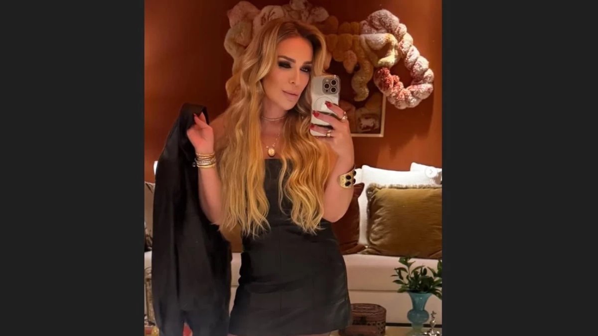Mensagens no celular de Roberta Luchsinger revelam repasses a Lulinha