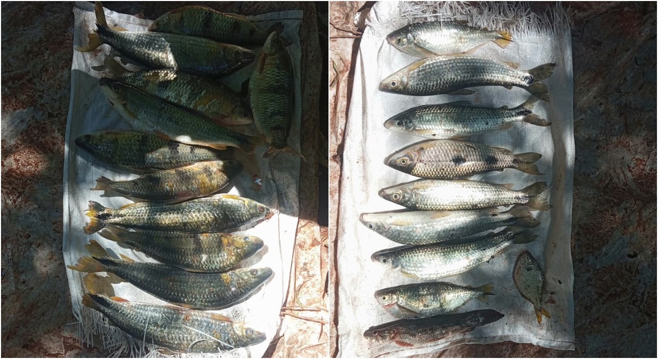 Homem é multado em R$ 1.182 por pesca ilegal em Sandovalina
