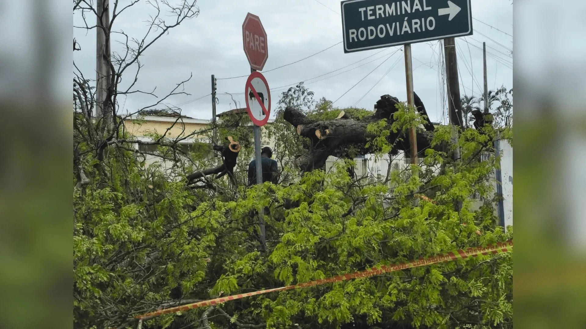 Osvaldo Cruz (SP) declara situação de emergência após vendaval que destelhou cerca de 20 casas