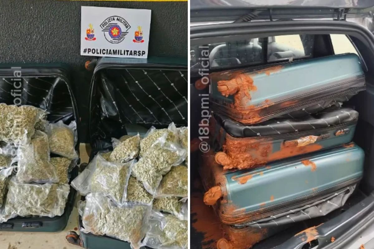 Homem é preso com 39,2 kg de skunk em ônibus interestadual em Presidente Prudente