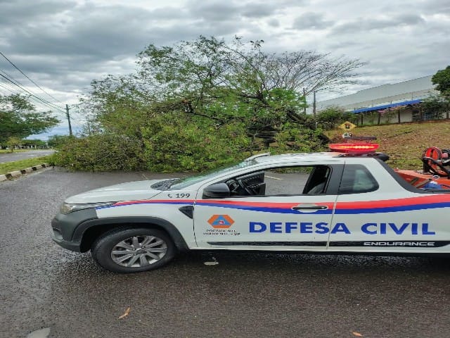 Equipes de zeladoria e Defesa Civil atendem ocorrências após temporal em dia de 1° turno das eleições