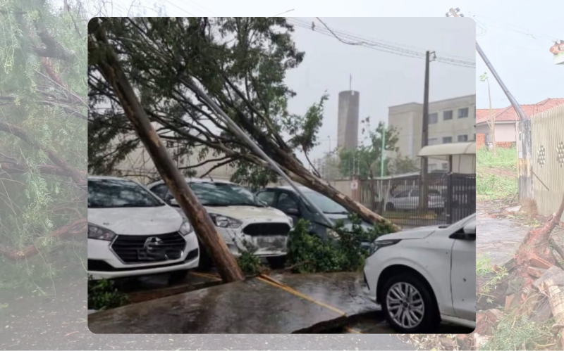 Energisa diz que restabeleceu energia para 75% dos clientes afetados por temporal no oeste paulista