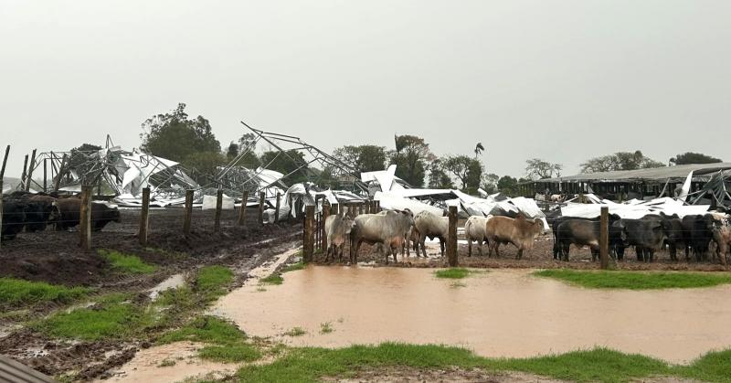 Temporal com rajadas de até 107 km/h causa estragos e deixa desalojados no oeste paulista