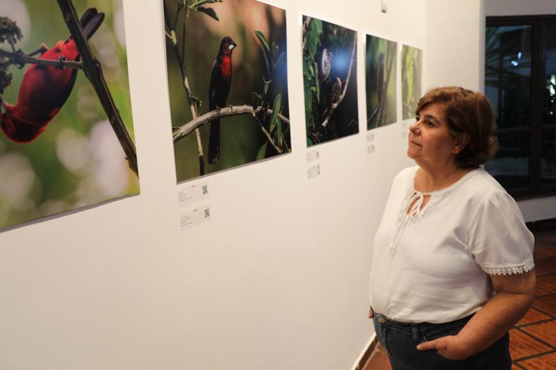 Exposição “Avifauna de São Paulo” reúne fotos de aves em ambiente natural no Hotel Sesi Epitácio