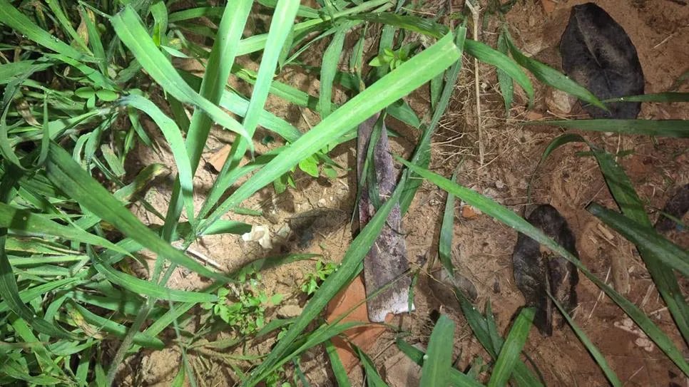 Homem de 39 anos é preso em flagrante suspeito de matar a facadas em Presidente Venceslau