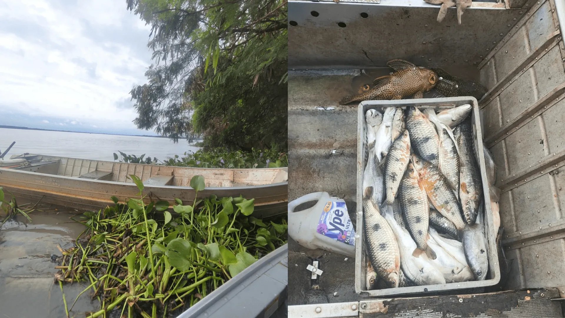 Pescador é multado em R$ 2,2 mil por uso de redes em reservatório de Presidente Epitácio