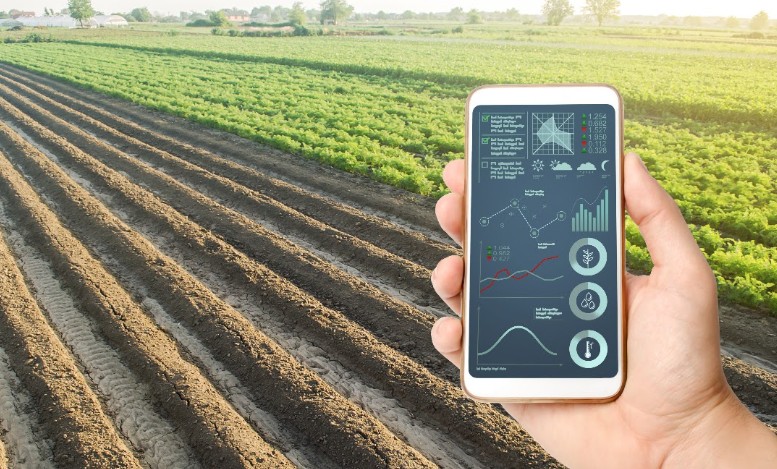 Ferramenta de IA do sistema CNA/SENAR leva informações técnicas a pequenos produtores pelo WhatsApp