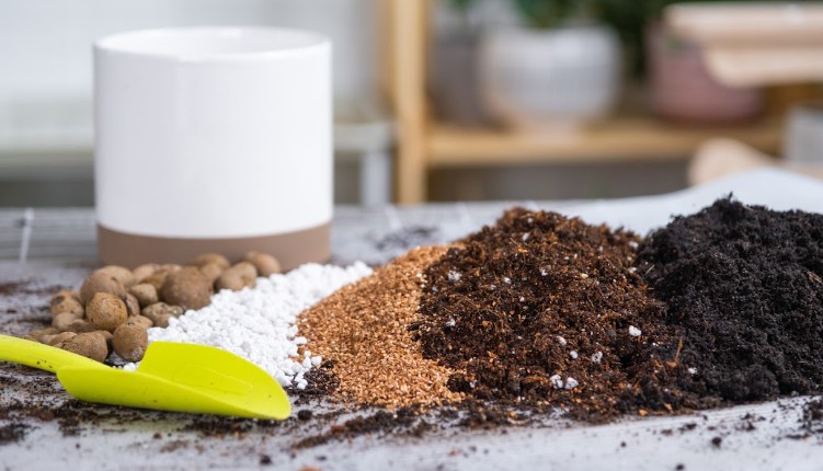 Mais de 80% dos fertilizantes usados no Brasil vêm do exterior, aponta programa