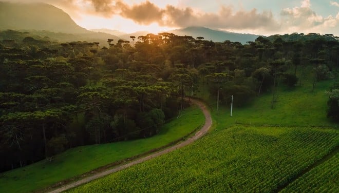 Gestão de mão de obra no campo é tema de programa sobre produtividade no agro